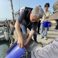 60萬尾魚苗放回大海 中市松柏漁港魚苗放流體驗海洋生態