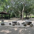 低碳中秋「無煙團聚」 中市府推賞月賞景取代傳統烤肉