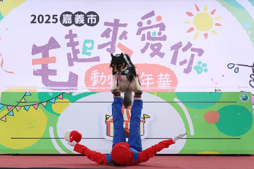 「毛起來愛你」動物嘉年華 嘉義市打造毛孩專屬幸福天地
