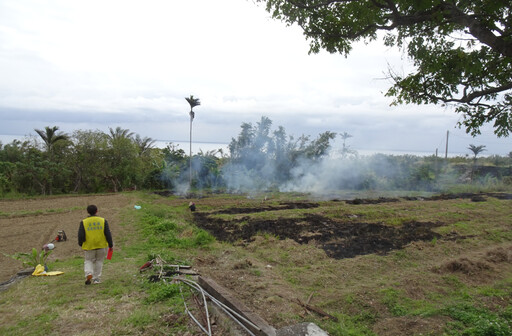 臺東稻作進入收割期 環保局籲農民勿焚燒稻草守護空氣品質