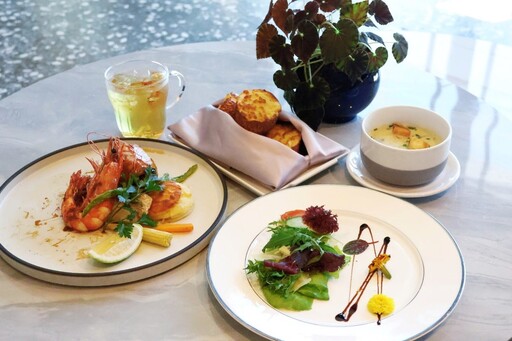 白天賞菊、晚上逛街！士林官邸菊展推59店家優惠 吃喝玩樂一次滿足