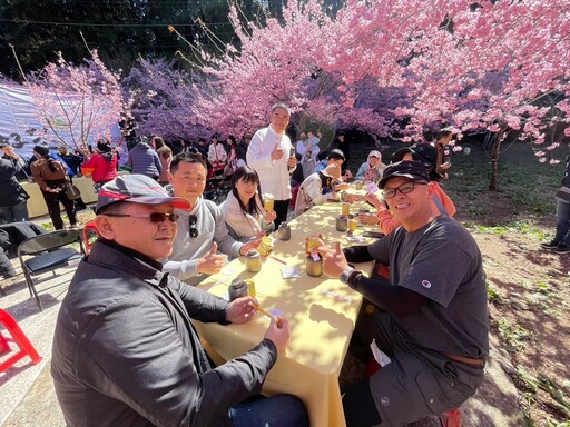 春櫻報到 梨山高山茶會品茗千櫻園登場