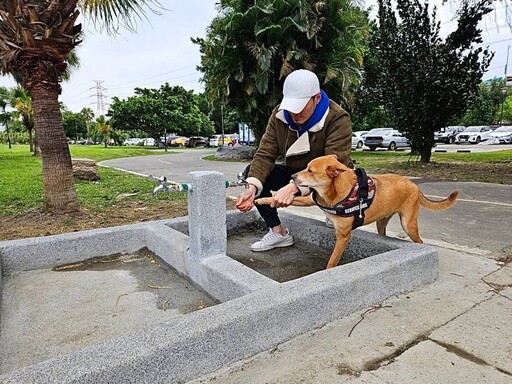 更新安全圍籬 綠寶石寵物公園讓毛孩盡情奔跑