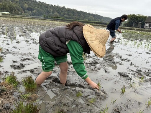 中市農業局邀學童體驗食農教育 繽紛稻田彩繪迎中台灣農業博覽會