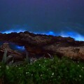 馬祖「藍眼淚」爆發 限量8場「追淚追星達人」體驗開放報名