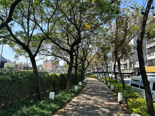 修剪綠廊路樹備戰 新北汛期減災超前部署