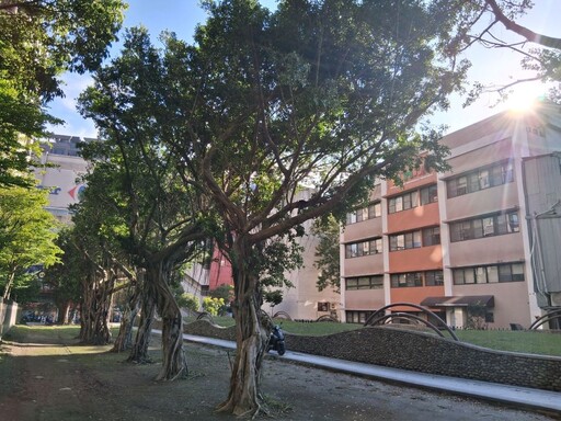 修剪綠廊路樹備戰 新北汛期減災超前部署