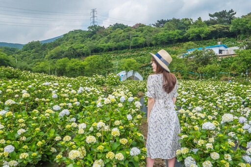 高雄旅展5/9登場 新北館母親節優惠為雙北世壯運熱身