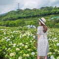 高雄旅展5/9登場 新北館母親節優惠為雙北世壯運熱身