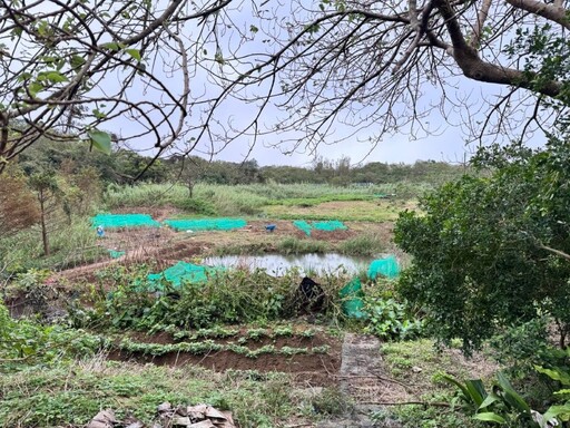 樂當小農夫 新北9筆市有農地標租