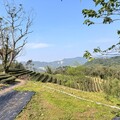 樂當小農夫 新北9筆市有農地標租