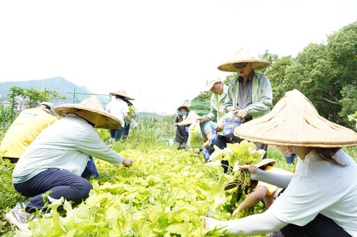 轉型食農教育場域 臺大農場攜手新北推食農教育