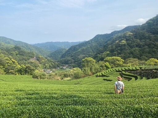 台北觀光博覽會5/23登場 新北館多元好康秒懂