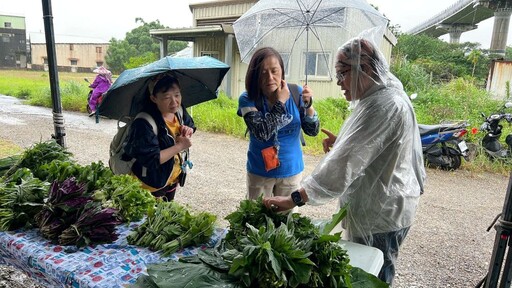 動手做原民無毒野菜粽 三峽Lipahak市集粽香新風味