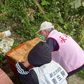 防治登革熱 新北提前部署清除孳生源