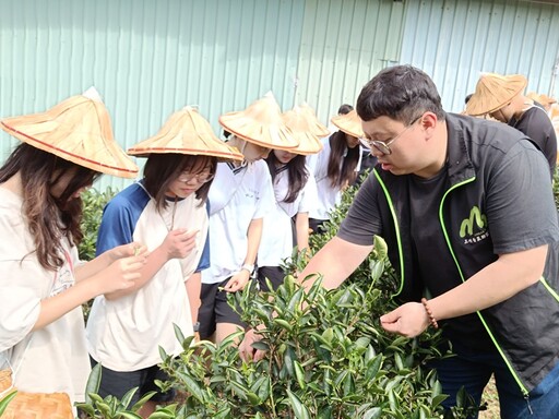 連獲國際大獎肯定 新北茶青展實力