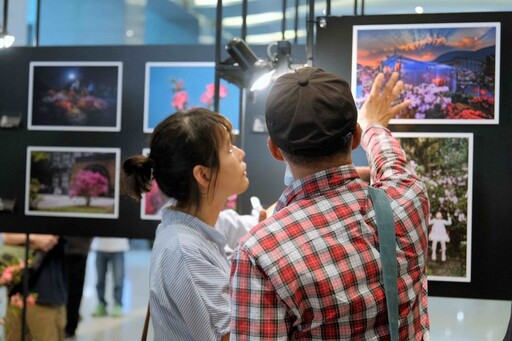 萬金杜鵑攝影展6/4開展 觀展贈樹苗