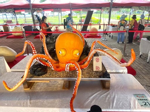 好吃、好看又好玩 淡水南瓜展售會週末登場