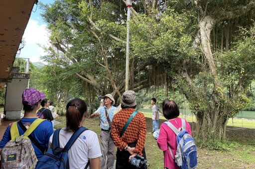 新北春季包種茶上市 週末坪林喝春拿好禮