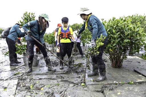 打造淡水河生態保育永續平衡 學童挽袖清除紅樹林幼苗