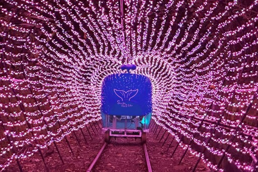 燦爛夏夜山海騎 深澳鐵道自行車7/1起「鯨」艷登場