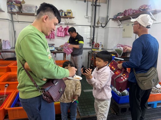 北海岸新景點 龜吼漁夫市集親子遊享美味首選