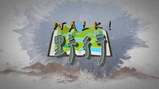 金視獎 以熱情鋪陳在地故事 企編獎彰顯創意與深度