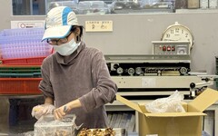 糕菲庇護工場 助慢飛天使展翅高飛