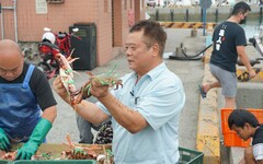 金鵰獎銀銅雙獎入袋 「新北影響力」再獲肯定