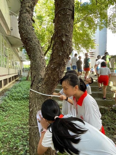 齊心打造校園碳中和 新北市立學校全數獲低碳校園認證