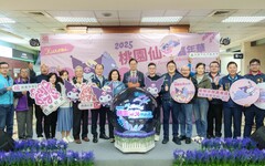 桃園仙草嘉年華11/22登場 與酷洛米相遇夢幻紫色花海