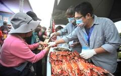 螃蟹肥了！ 淡水第二漁港11/22特賣會嚐最鮮美味