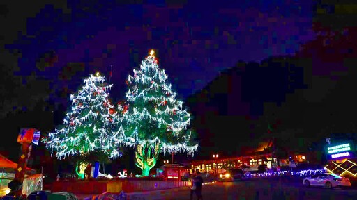 山谷燈光節點燈 全國最高耶誕樹閃耀大梨山