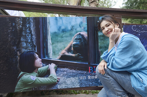 魏導《BIG》熱映中 壽山動物園紅毛猩猩首次躍上大銀幕