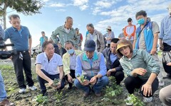小犬颱風及10月上旬雨害遲發農損 高雄紅豆即日起受理救助申報