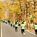 矽品馬拉松5千跑友熱情開跑 彰化木棉花道美景中挑戰自我