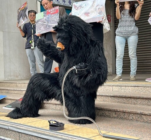 動保團體立法院前上演「山豬吊」 立委現場允促修法禁殘忍獵具