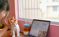 高雄青創8年級生開貓咪咖啡館 為500隻流浪貓找到新家