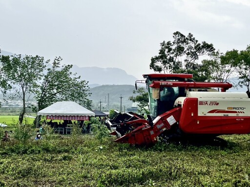 樹豆的食農復興 花蓮農改場助機械採收走進原鄉