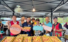 Miaca’米啊炸市集開跑！那瑪夏水蜜桃首次市區販售超搶手