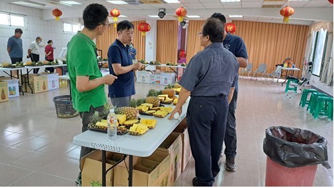 高雄鳳荔品質評鑑競賽揭曉 大樹農友謝清男、林哲全分奪鳳梨、玉荷包冠軍