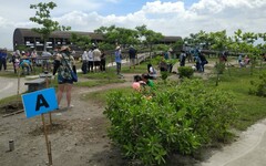 愛種樹！茄萣濕地X台電 種樹植栽推動節能減碳永續發展