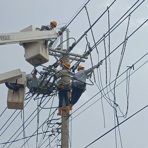 台電勇者！高雄、鳳山區處防颱大作戰 修剪樹木強化線路確保供電穩定