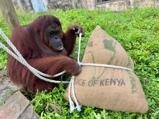 壽山動物園迎端午 搭配創意粽豐富動物行為