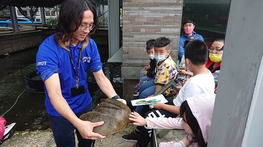 鱟知鱟學海洋公民科學行動計畫 海科館徵求鱟保母學校報名