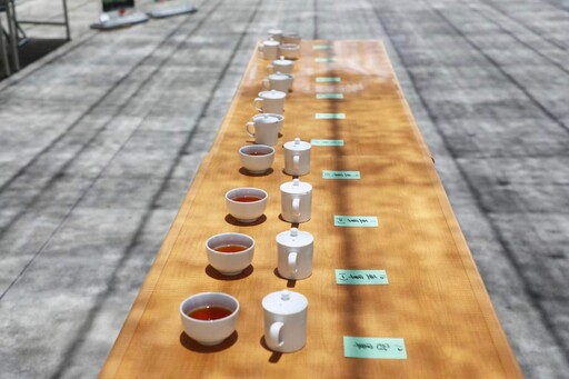 嘉縣小葉種紅茶製茶技術競賽成績揭曉