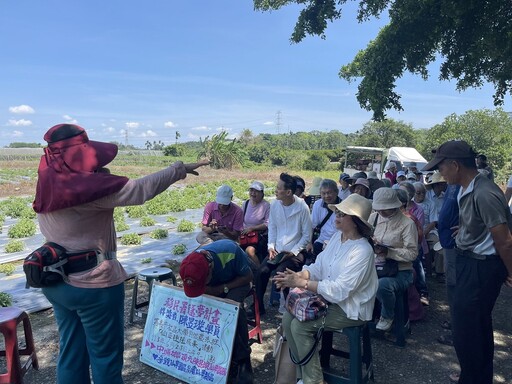 嘉義新住民陳昱璇 以「六甲半甜的傳奇」獲移民署築夢計畫補助