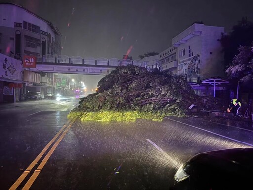 凱米颱風侵襲全台 嘉市幸未傳出重大災情