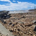 颱風過境後漂流木堆積 高市府籲民眾暫勿踏浪及勿擅自撿拾