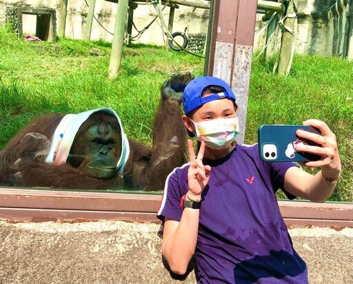 壽山動物園紅毛猩猩「咪咪」安詳離世享年38歲 保育員悼念不捨